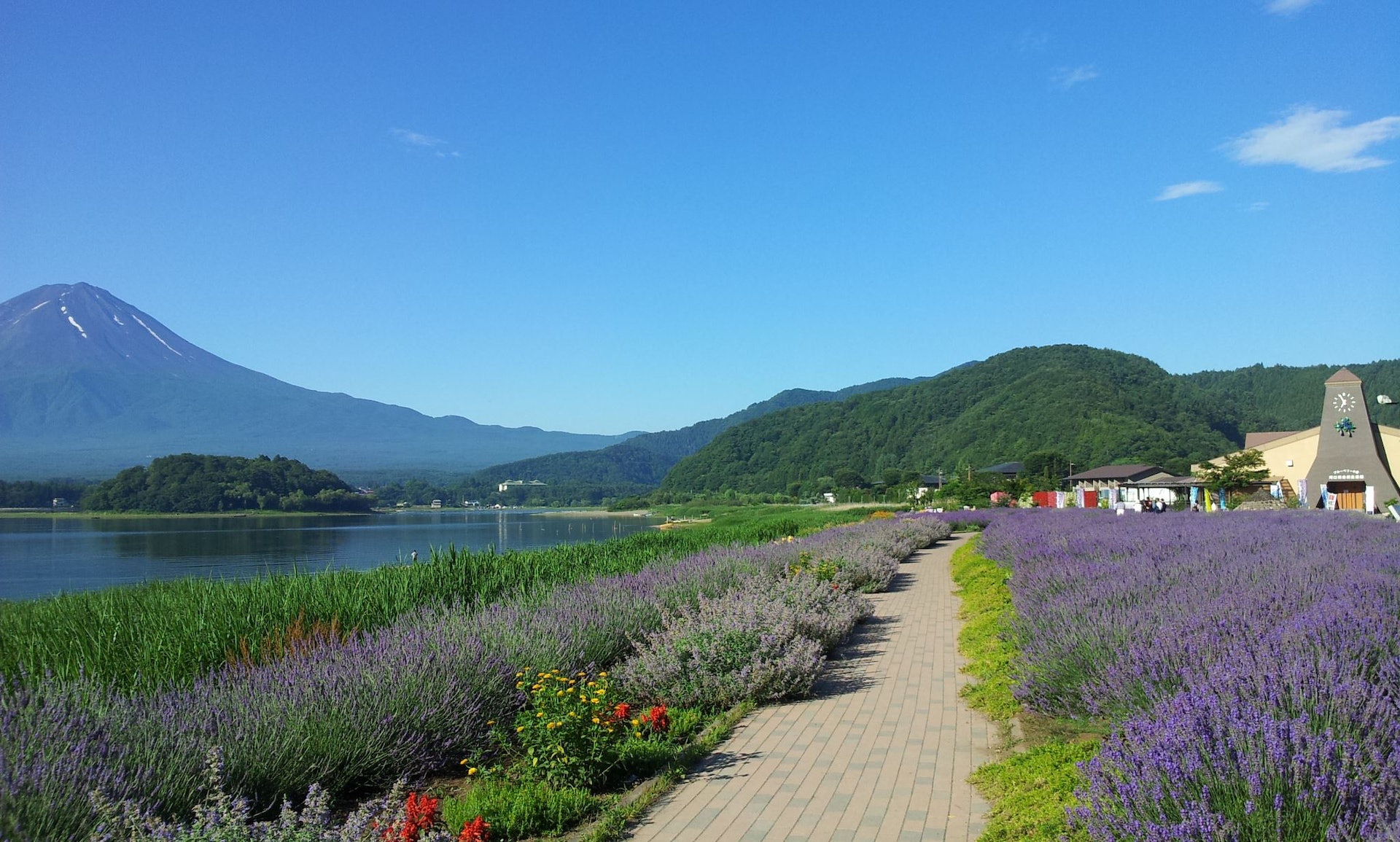 Top 6 Must-Visit Attractions for a Day Trip to Lake Kawaguchi