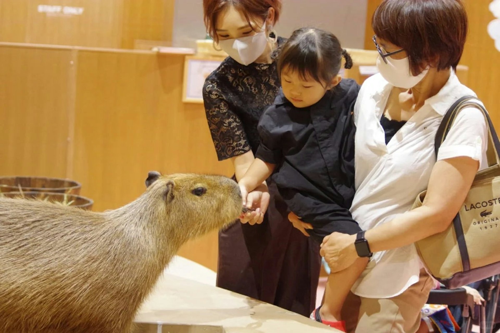 Osaka's new shopping mall 2024 | Must-visit souvenirs at Umeda KITTE, Shinsaibashi PARCO, and Outlet guide