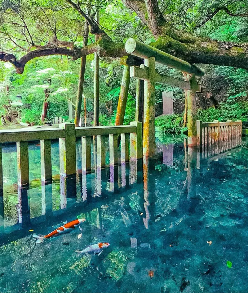 Was the “water torii gate” at Katori Shrine in Japan overly edited? Japanese netizens: Is the original scene not beautiful enough?