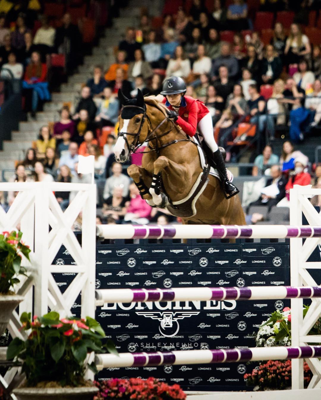 Not ostentatious but full of happiness! Steve Jobs' youngest daughter Eve Jobs gets engaged to Olympic equestrian athlete