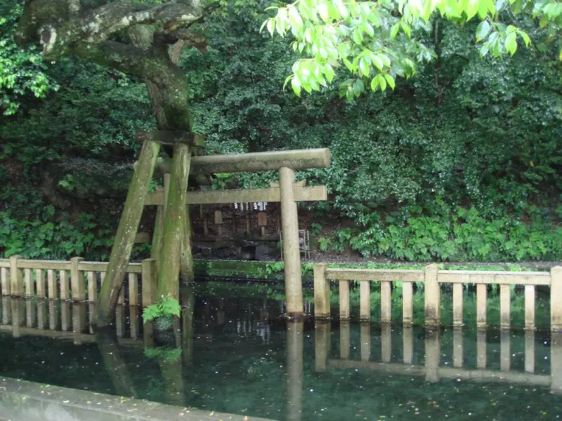 Was the “water torii gate” at Katori Shrine in Japan overly edited? Japanese netizens: Is the original scene not beautiful enough?