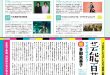 多部未华子 月刊ザテレビジョン 首都圏版 2025年6月号