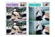 熊猫 週刊女性 2025年 8月12日号